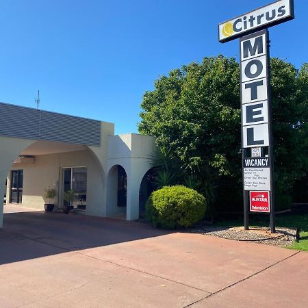 Citrus Motel 格里菲斯 外观 照片