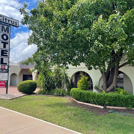 Citrus Motel 格里菲斯 外观 照片