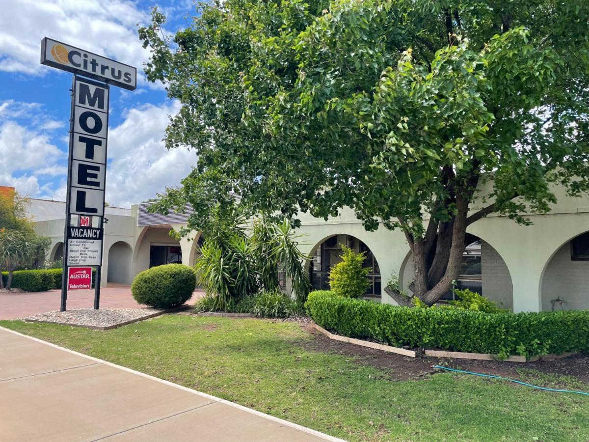 Citrus Motel 格里菲斯 外观 照片